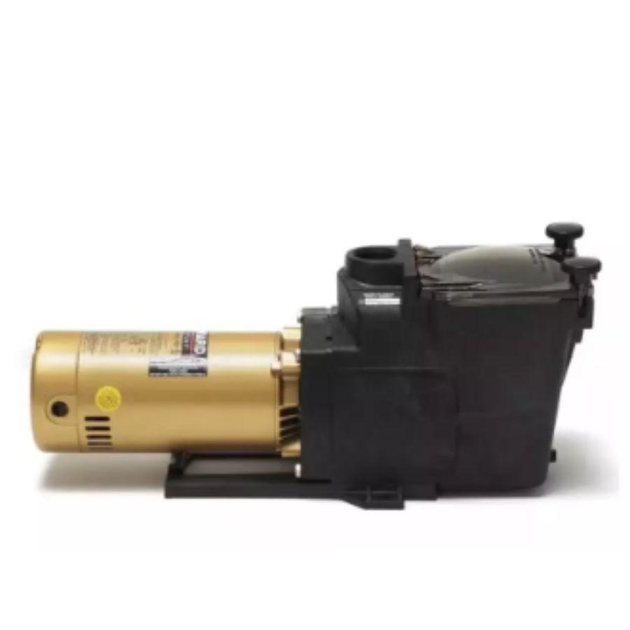 Hayward Super Pump